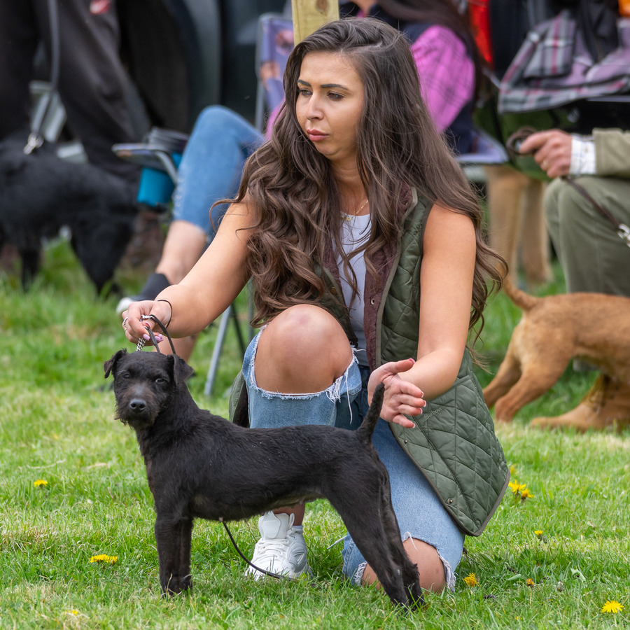 Dog Show